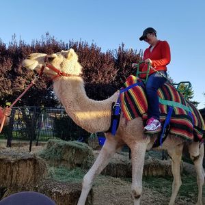 Meet your Posher, Julie